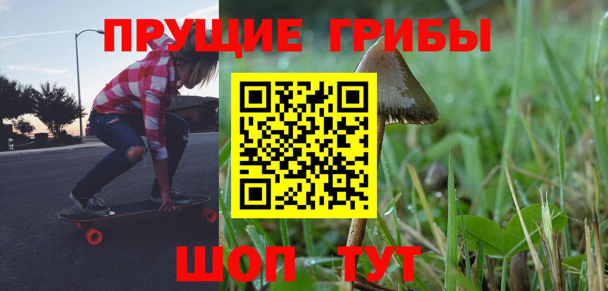 Псилоцибиновые грибы Magic Shrooms Вышний Волочёк